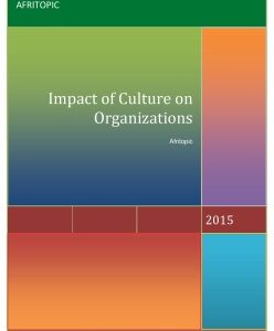 Impact of Culture on Organizations