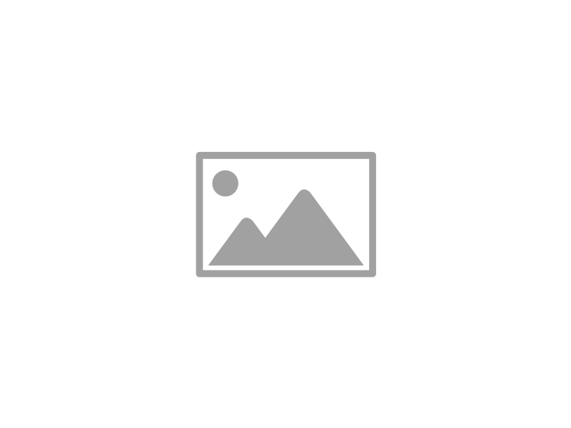 Business and Finance